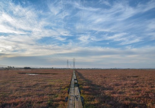 The Beauty and Complexity of Landscapes: An Expert's Perspective